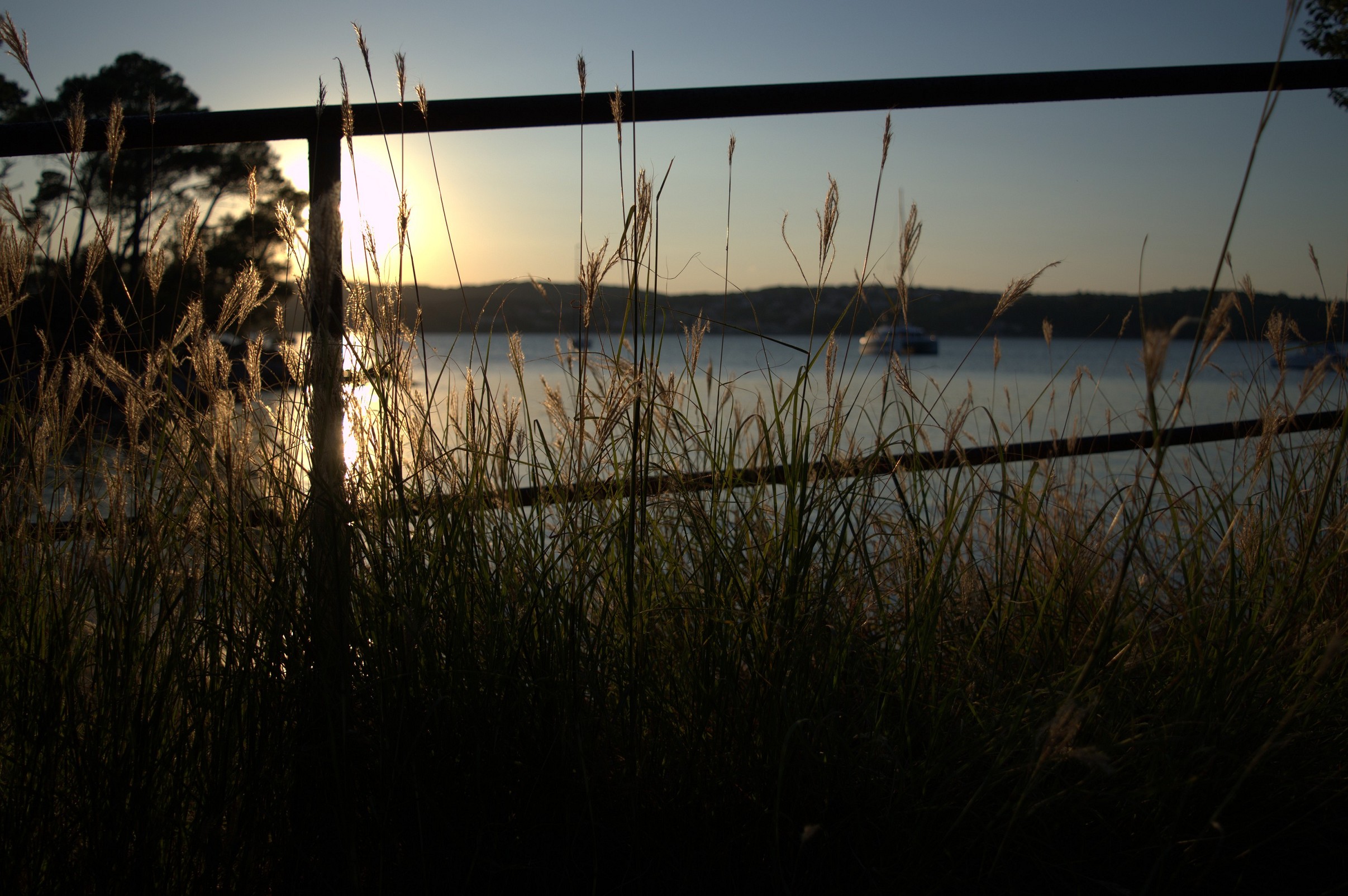 K k 168   dsc 2026   6034 x 4012